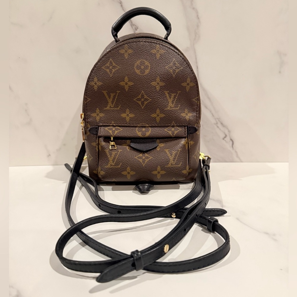 Louis Vuitton Palm Springs Mini